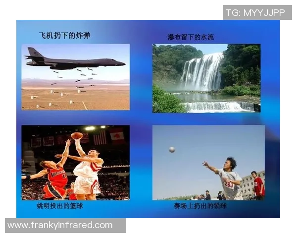 姚明股骨长度的影响因素与运动表现的关系探讨