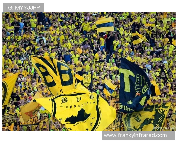 欧冠精彩对决多特蒙德逆转里昂绝杀瞬间引爆全场十大进球回顾