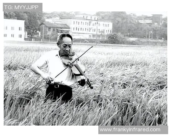 袁隆平与姚明的工资对比揭示了中国体育与农业的不同价值观与社会地位