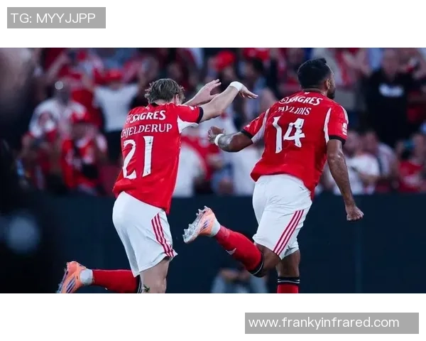 德甲精彩对决那不勒斯3-0战胜波尔图神扑瞬间点燃全场激情 德甲精彩对决那不勒斯3-0战胜波尔图神扑瞬间点燃全场激情