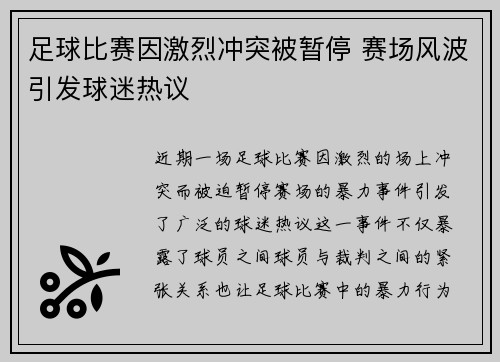 足球比赛因激烈冲突被暂停 赛场风波引发球迷热议