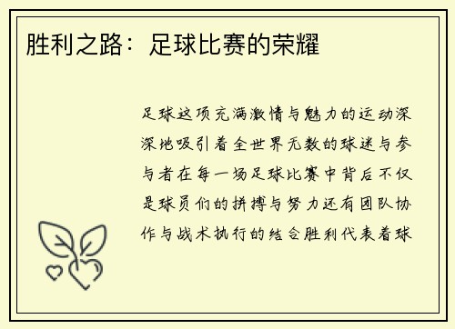 胜利之路：足球比赛的荣耀