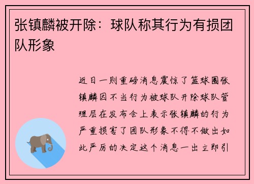 张镇麟被开除：球队称其行为有损团队形象