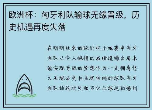 欧洲杯：匈牙利队输球无缘晋级，历史机遇再度失落